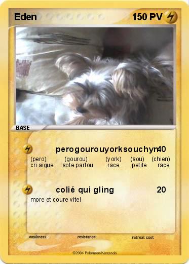 Pokemon Eden