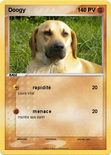 Pokemon Doogy