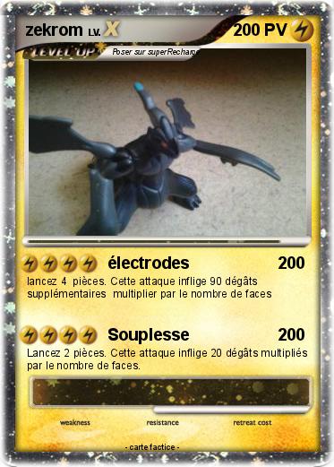 Pokemon zekrom