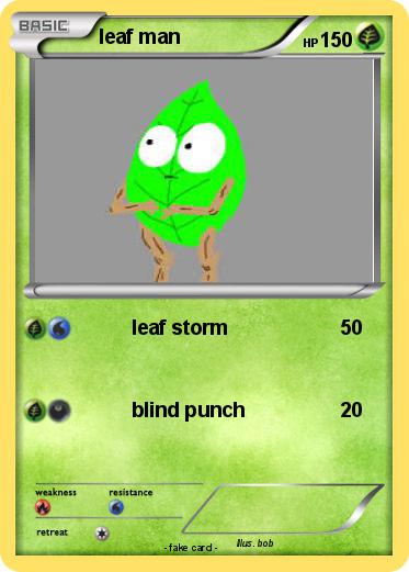 Pokemon leaf man