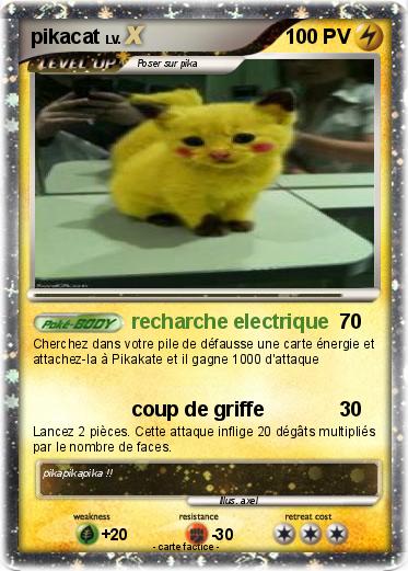 Pokemon pikacat