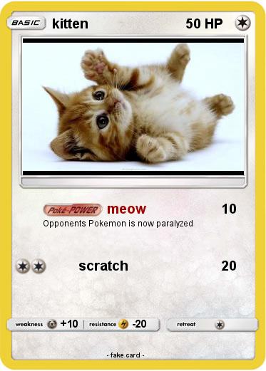 Pokemon kitten