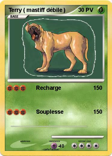 Pokemon Terry ( mastiff débile )