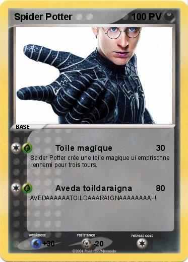 Pokemon Spider Potter