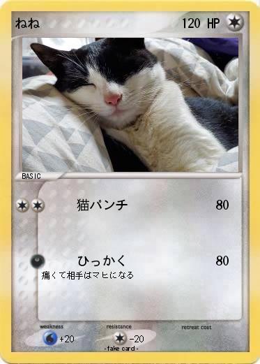Pokemon ねね