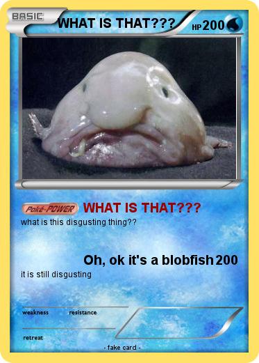 Pokemon WHAT IS THAT???