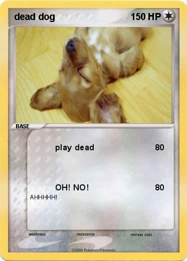 Pokemon dead dog