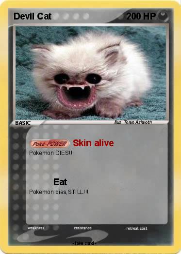 Pokemon Devil Cat