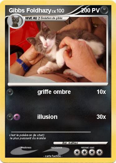 Pokemon Gibbs Foldhazy