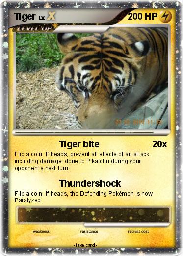 Pokemon Tiger