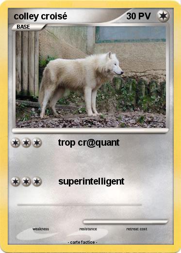 Pokemon colley croisé