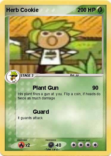 Pokemon Herb Cookie
