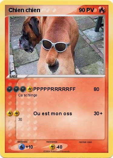 Pokemon Chien chien
