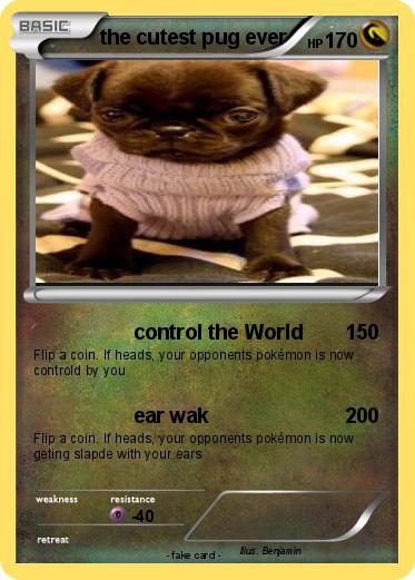 Pokemon the cutest pug ever