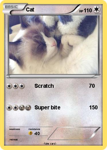 Pokemon Cat