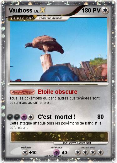 Pokemon Vauboss