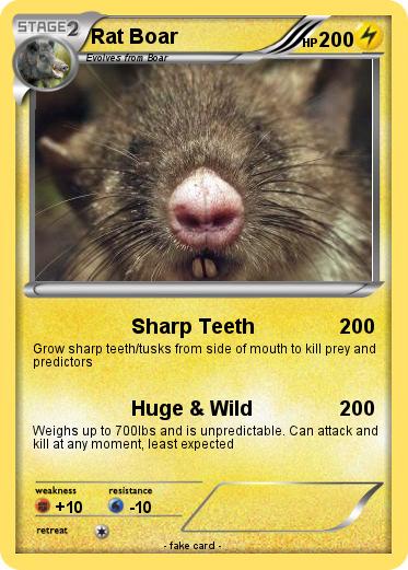Pokemon Rat Boar