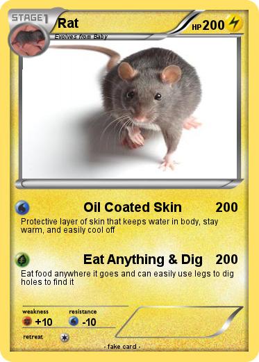 Pokemon Rat