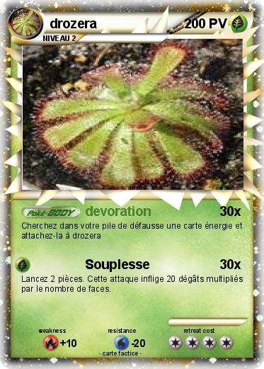 Pokemon drozera