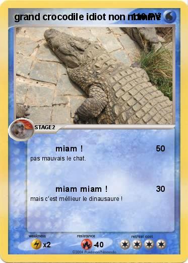 Pokemon grand crocodile idiot non nommé 