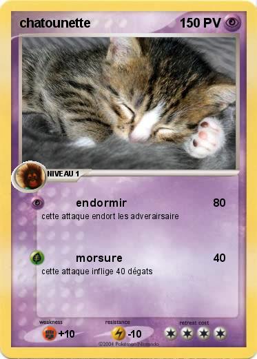 Pokemon chatounette