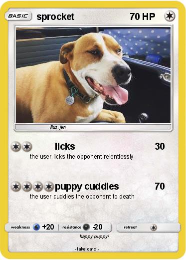 Pokemon sprocket