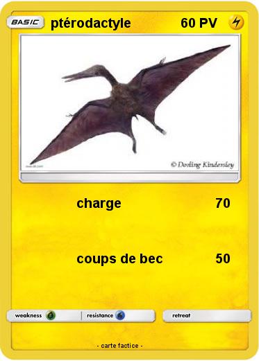 Pokemon ptérodactyle