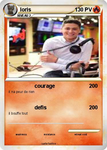 Pokemon loris