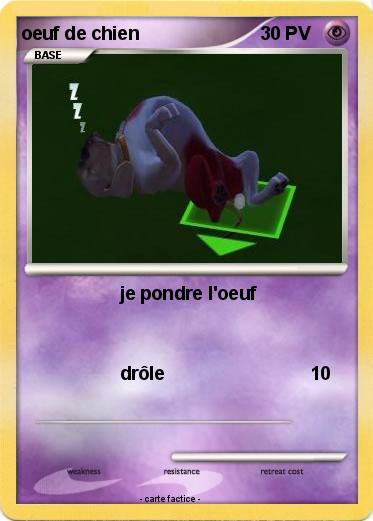 Pokemon oeuf de chien
