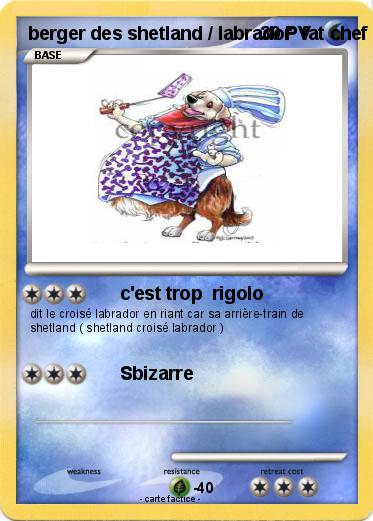 Pokemon berger des shetland / labrador  fat chef