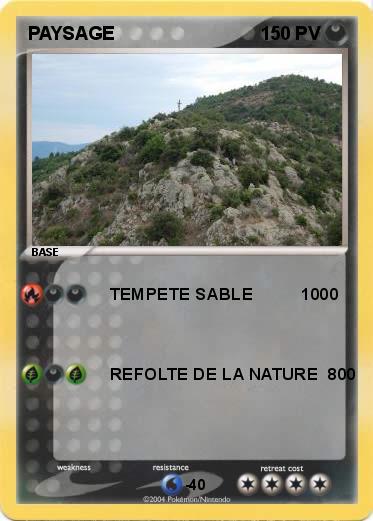 Pokemon PAYSAGE  