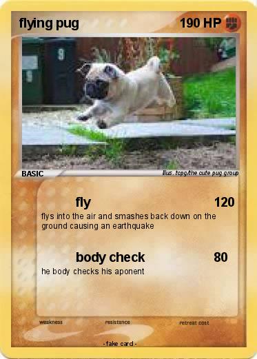 Pokemon flying pug