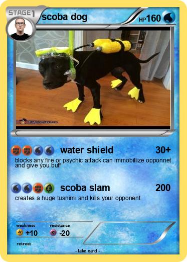 Pokemon scoba dog