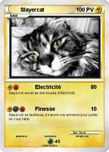Pokemon Slayercat