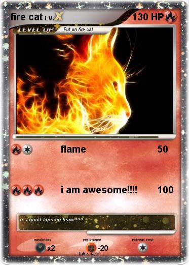 Pokemon fire cat