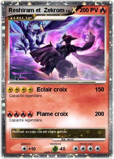 Pokemon Reshiram et  Zekrom