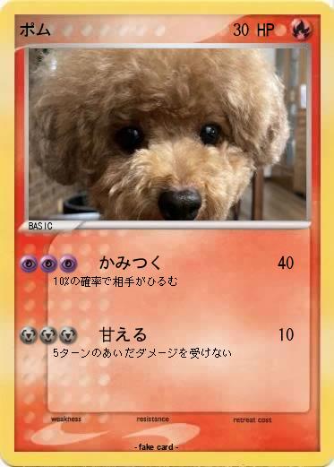 Pokemon ポム