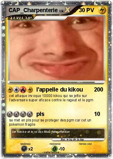 Pokemon CAP_Charpenterie