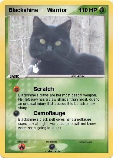 Pokemon Blackshine      Warrior