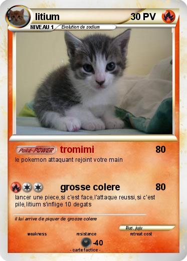 Pokemon litium