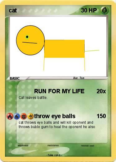Pokemon cat