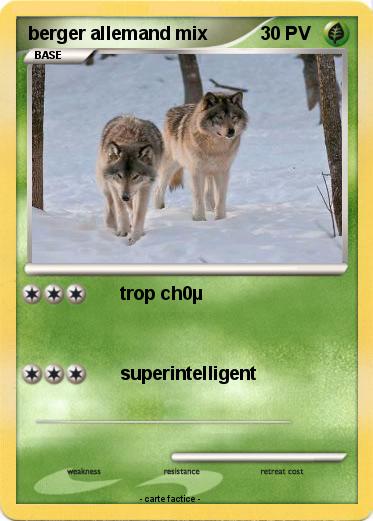 Pokemon berger allemand mix