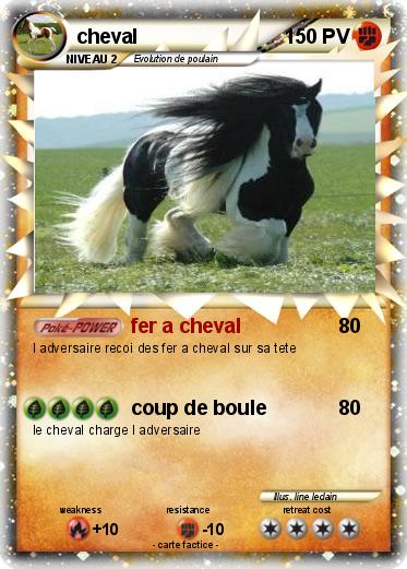 Pokemon cheval