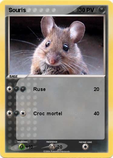 Pokemon Souris