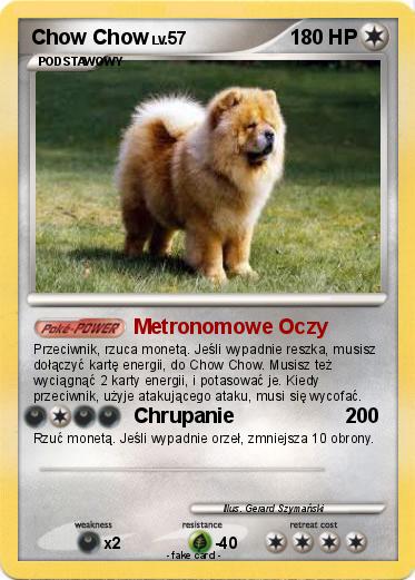 Pokemon Chow Chow