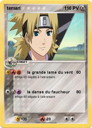 Pokemon temari
