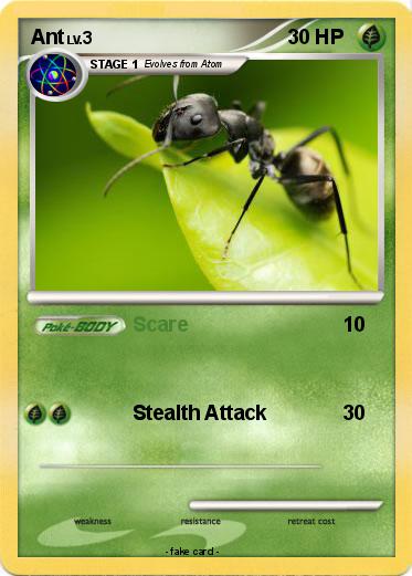Pokemon Ant