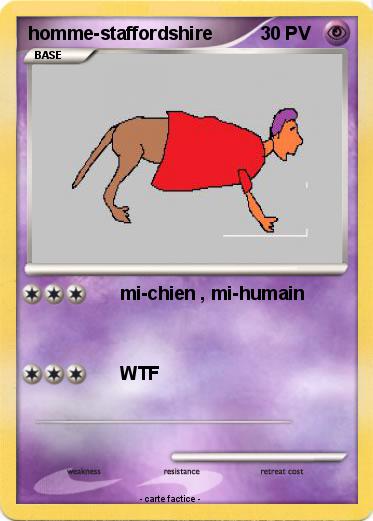 Pokemon homme-staffordshire