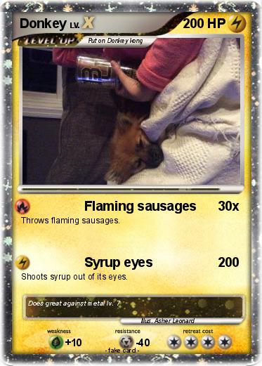 Pokemon Donkey