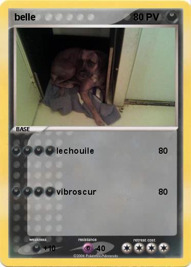 Pokemon belle 